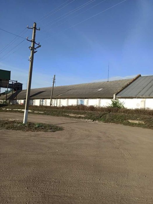 Продаж діючого елеватору, 40 тис. тон