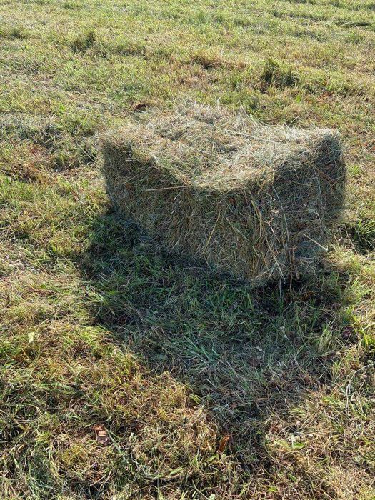 Sprzedam siano w kostkach