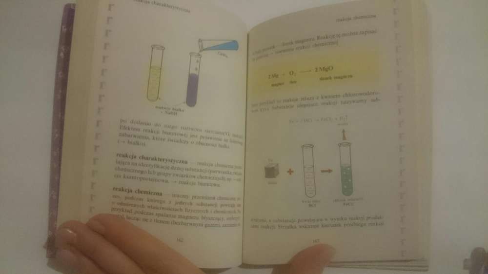 Chemia słowniczek ucznia WSiP