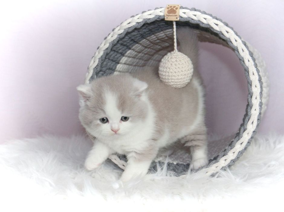 Tunel dla kota, pleciony, sznur bawełniany