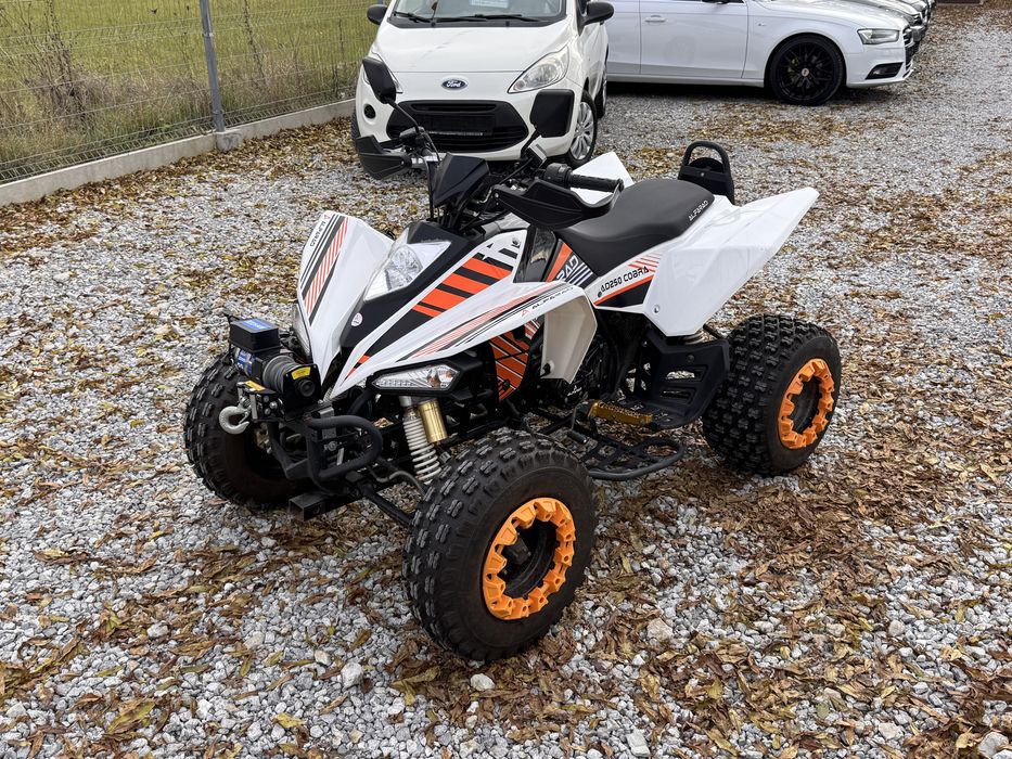 Quad Alfarad 250 cobra 300km*Pierwsze rece*Zarejestrowany*