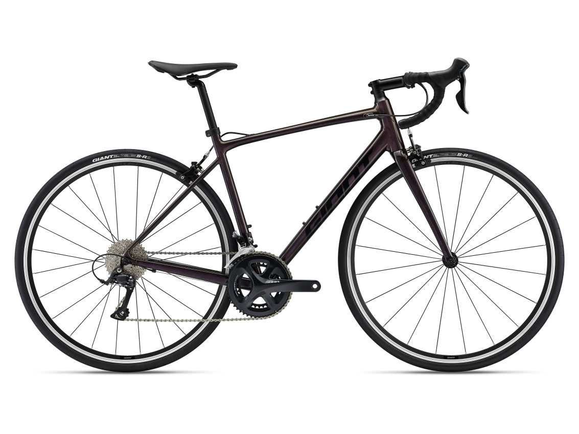 Giant Contend 1 (XL) Rosewood PROMOCJA!