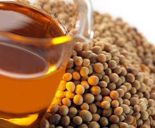 Paszowy i techniczny olej sojowy oraz rzepakowy. Biodiesel