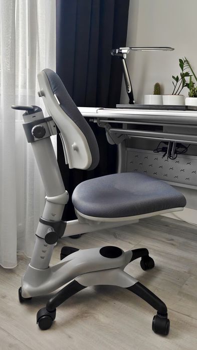 Krzesło do biurka Oxford Go Up - rośnie z dzieckiem