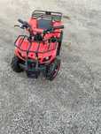 Mini Quad Hammer