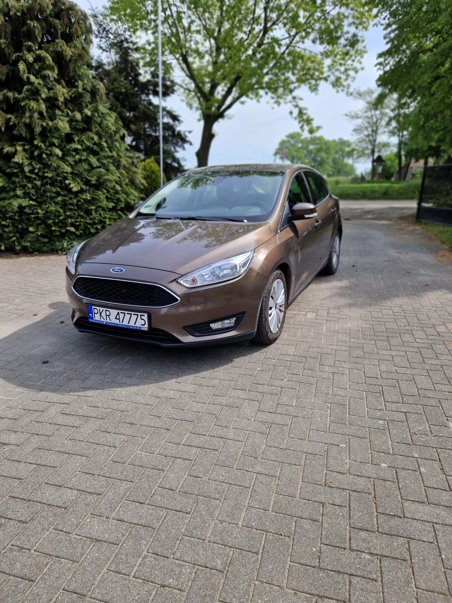 Ford Focus 1.6 Hatchback