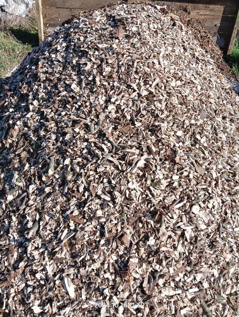Zrębki z gałęzi świeże lub suche
