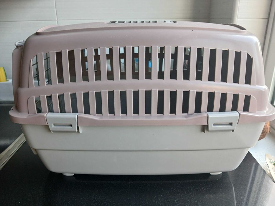 Caixa trasportadora de animal