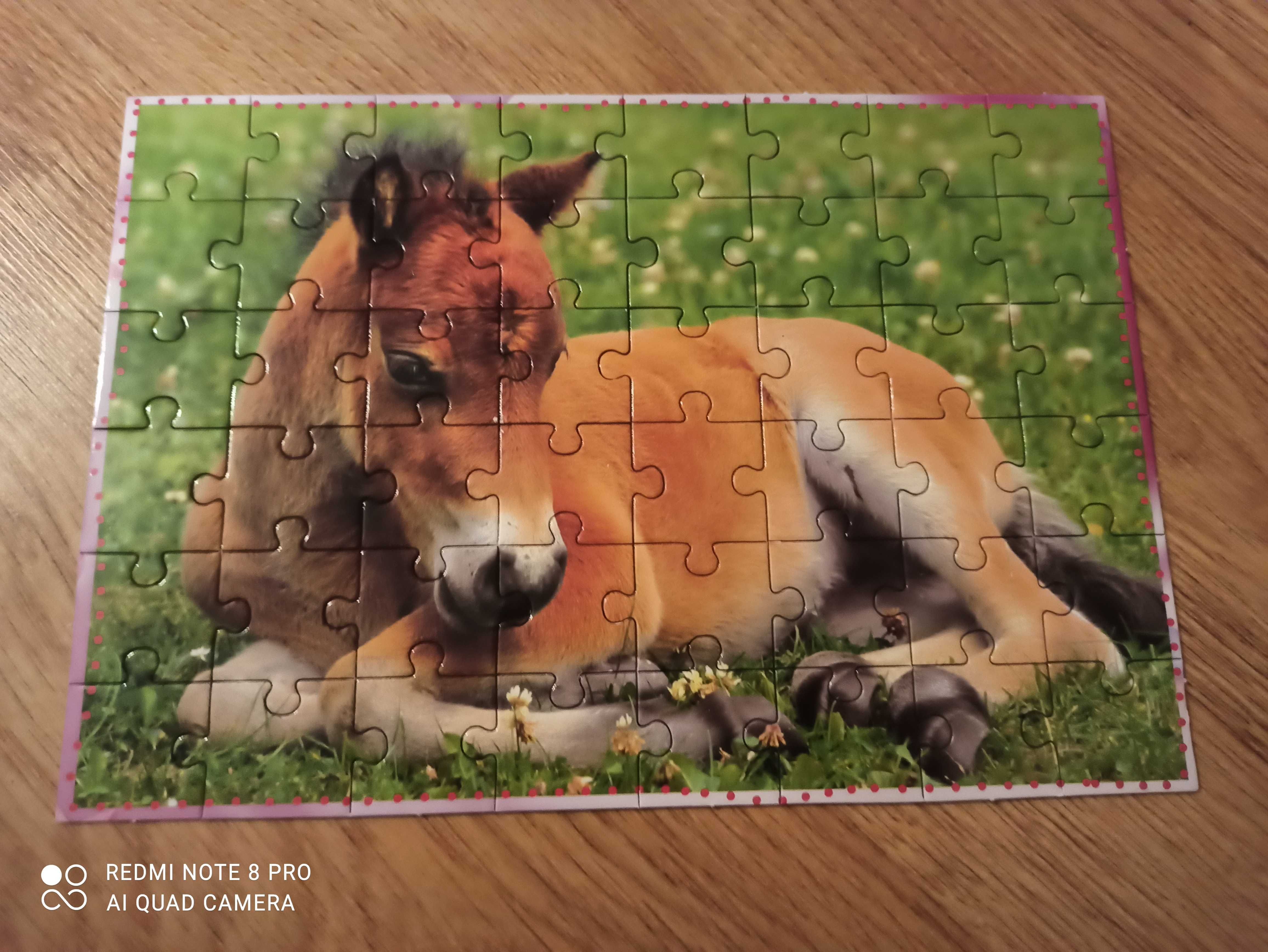 Książka z puzzlami- zwierzęta domowe