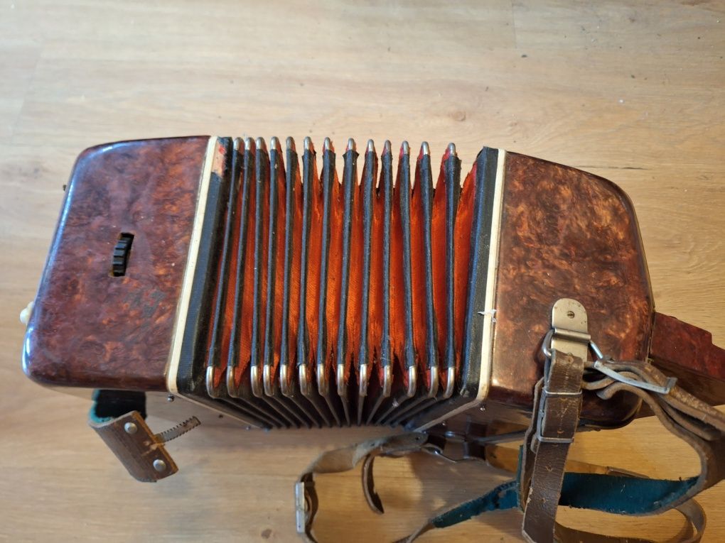 Harmonia guzikowa, akordeon
