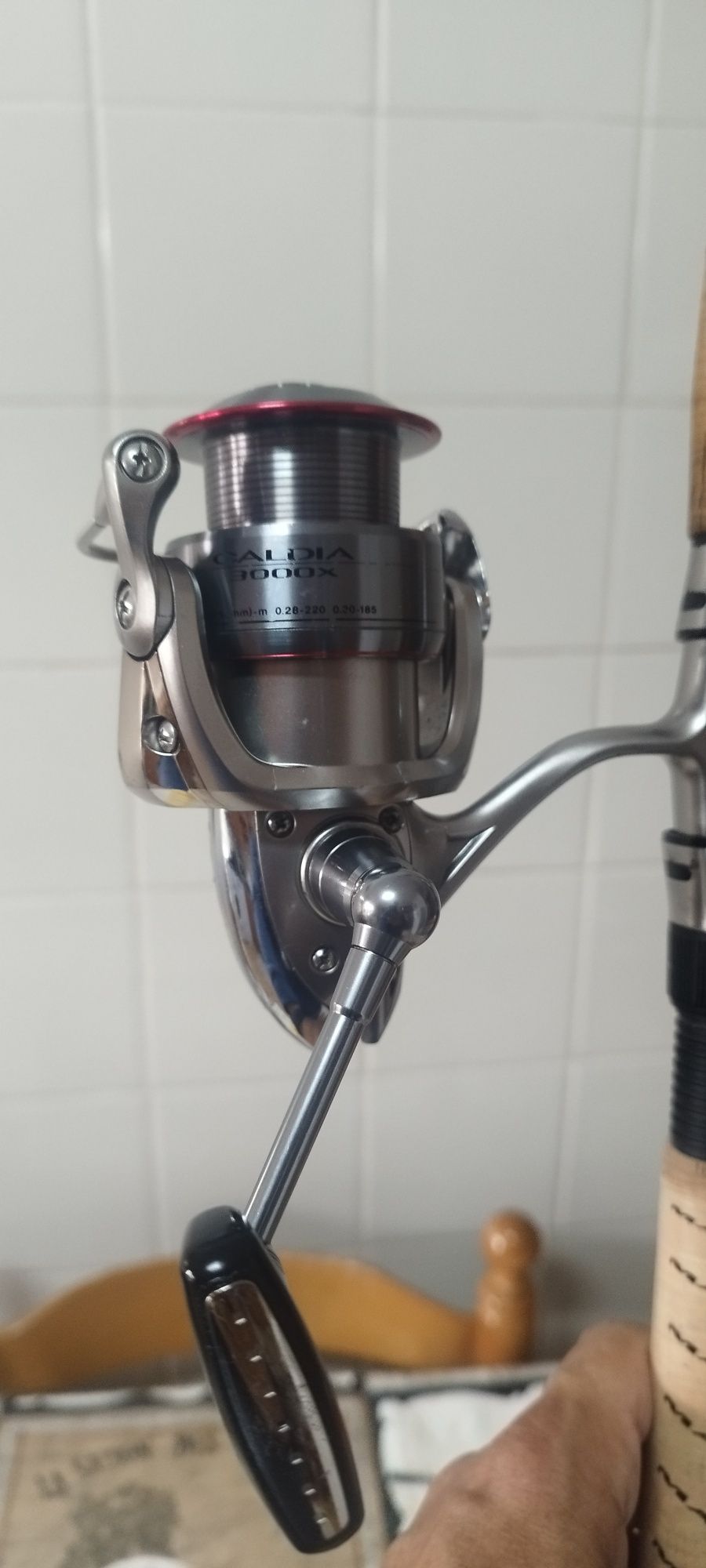 Carreto daiwa caldia e cana maver