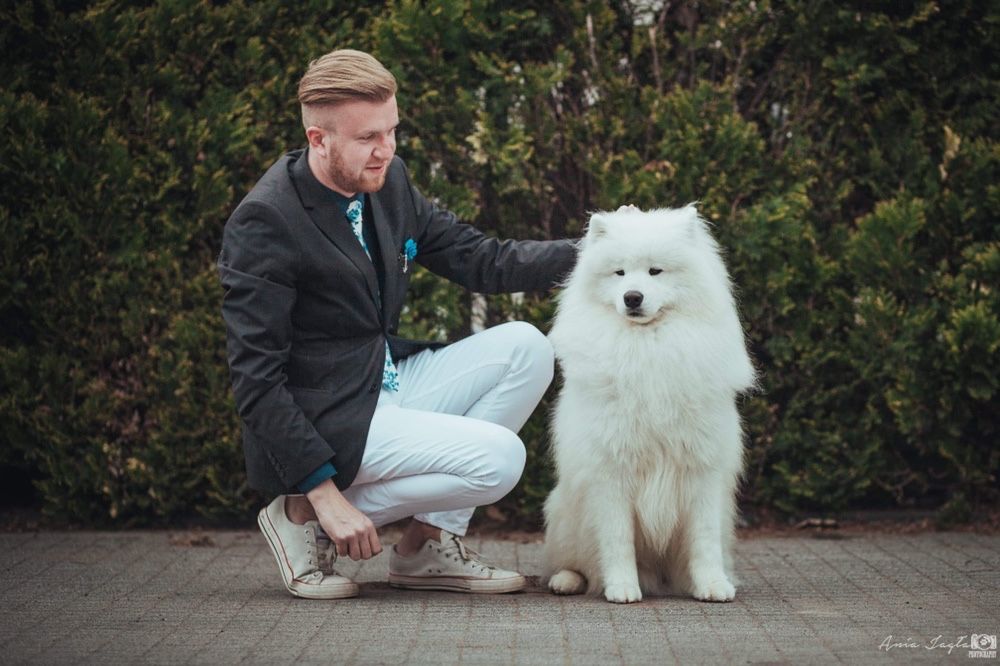 Reproduktor Samoyed ZKWP/FCI - Import Czechy Multi Champion