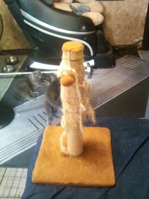 Когтеточка для котов