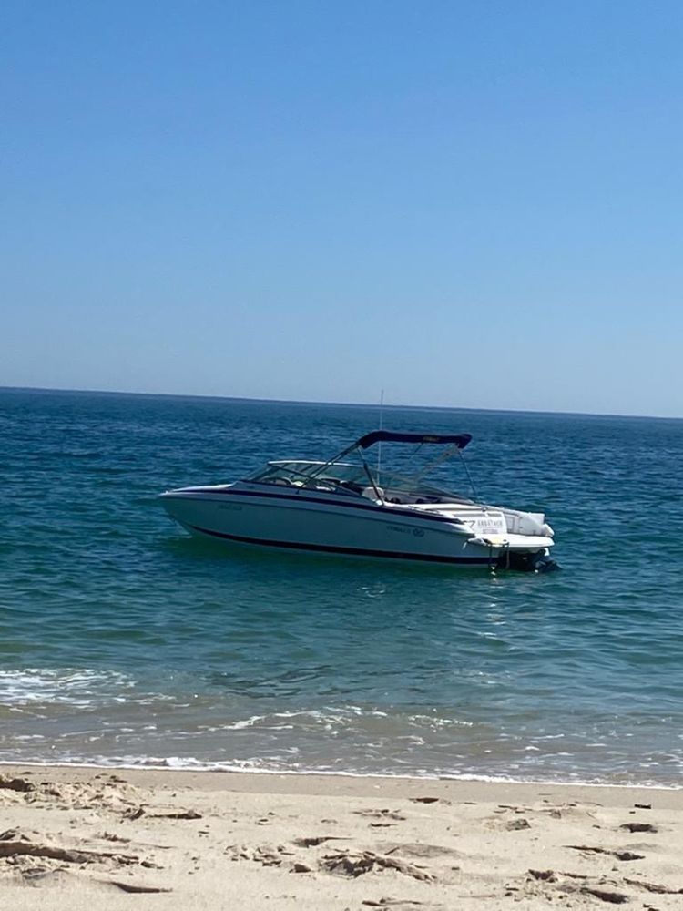 Lancha Cobalt 246