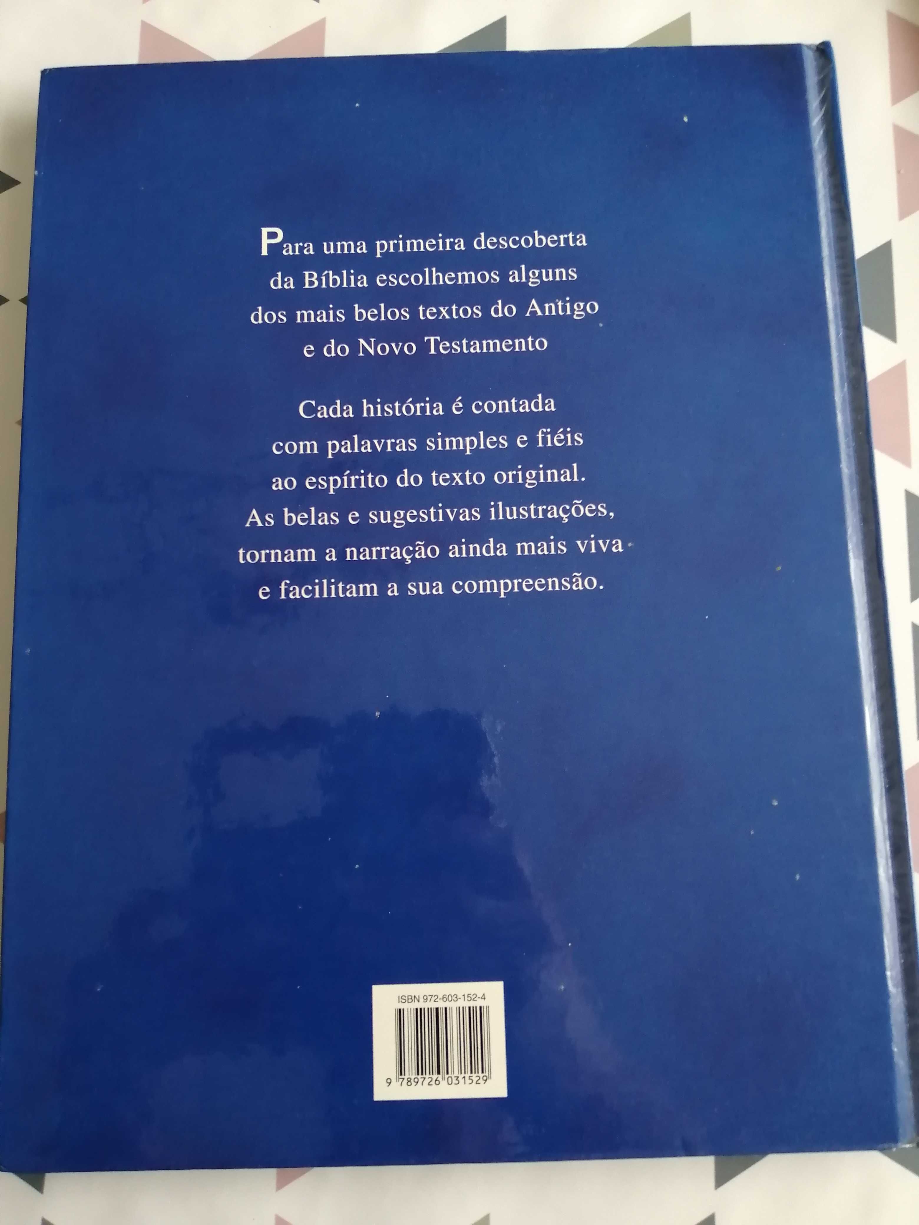 A Bíblia das Crianças - Livro com imagens (1997, vintage)