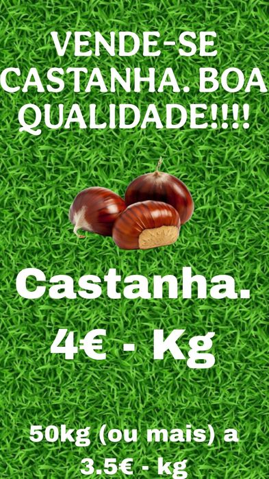 Castanha de boa qualidade 4€/kg