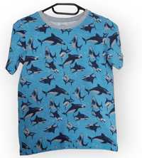 Oshkosh футболка акули на 10 р.