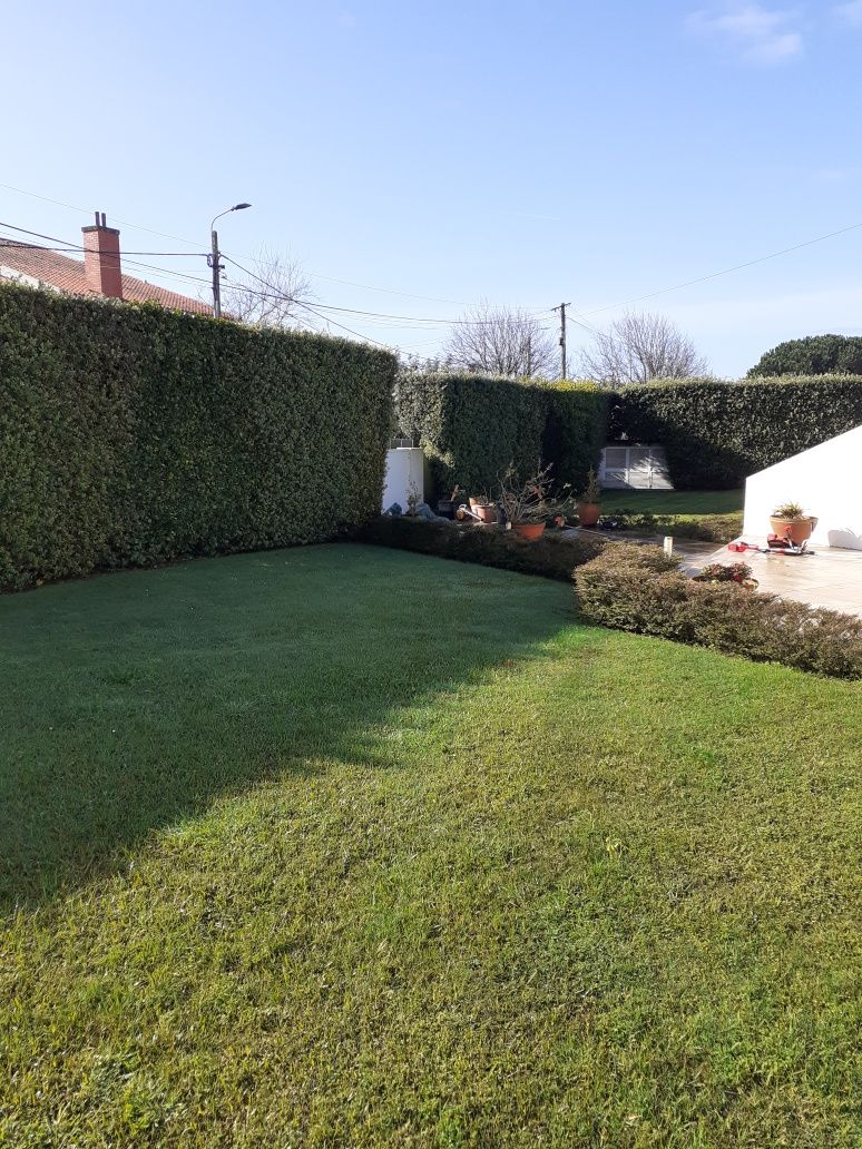 Serviços de Jardinagem