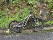 Specialized Stumpjumper Evo Comp Alloy 2023
