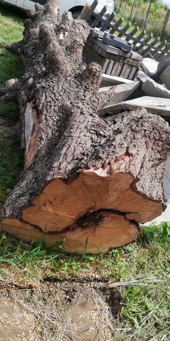 Kłoda gruszy na stolik