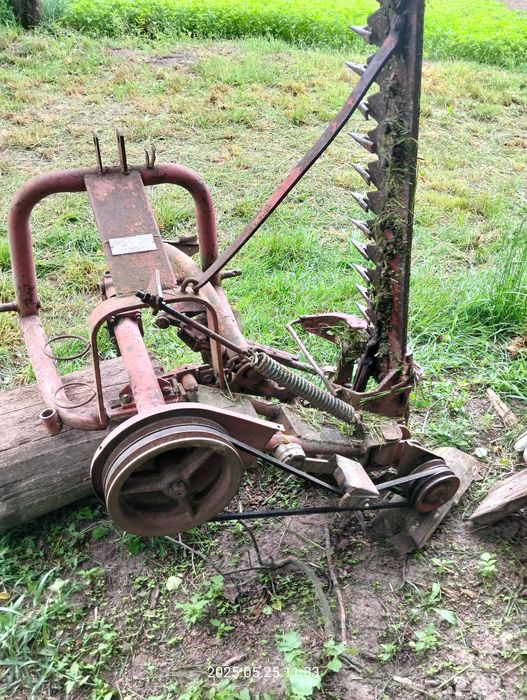 Косарка польська