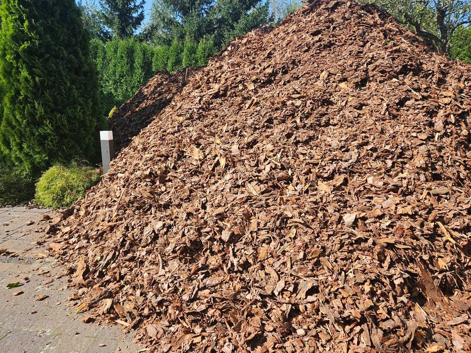 Kora ogrodowa sosnowa