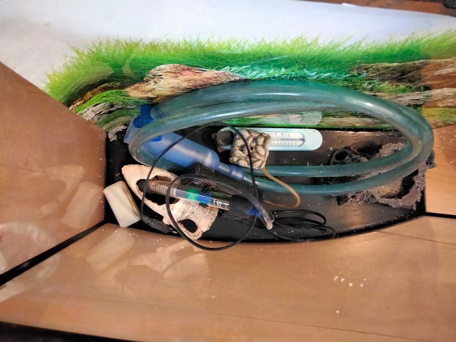 Aquário visipor 60lt