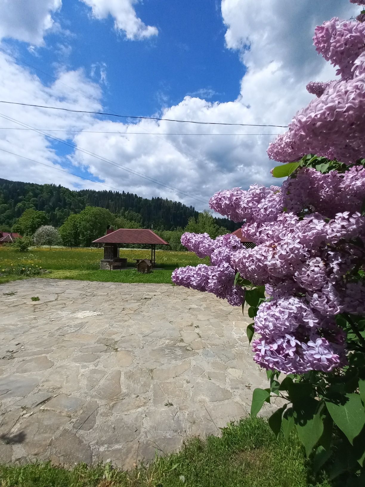 Відпочинок в Карпатах котедж "Крайка" с.Микуличин .біля річки