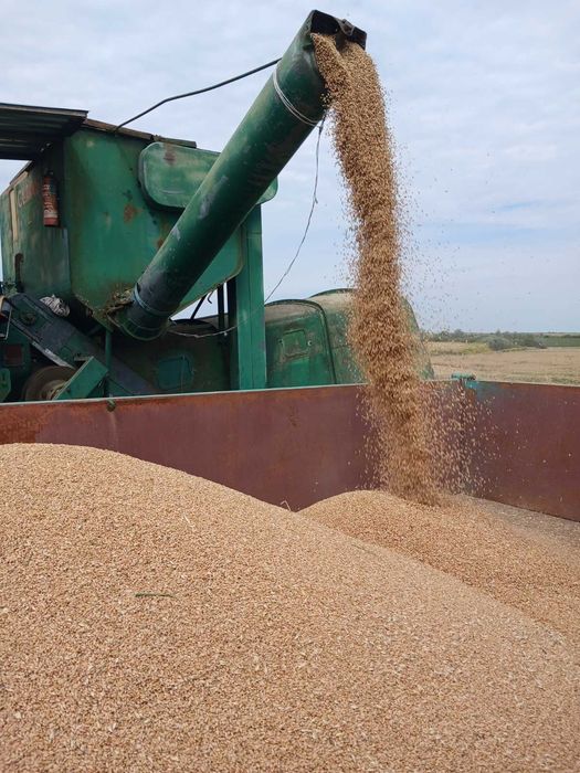 Продам комбайн Клас