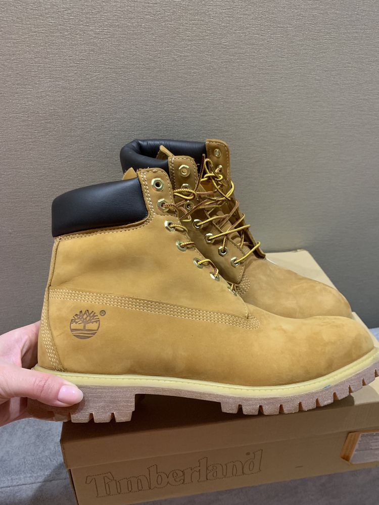 Черевики туристичні Timberland 6 In Premium