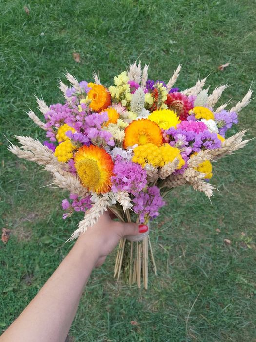 Сухоцвіти букети композиції