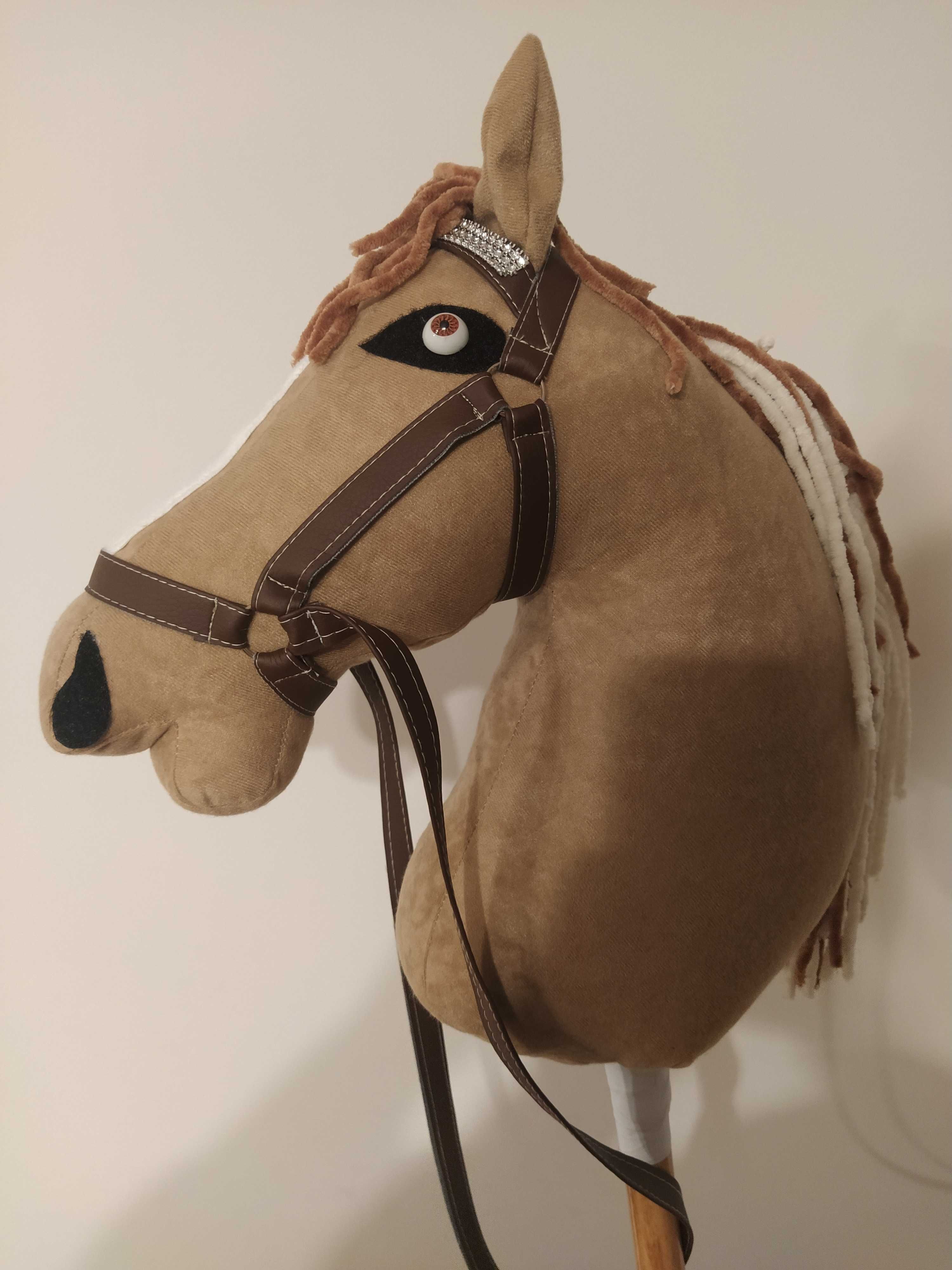 Konie Hobby Horse