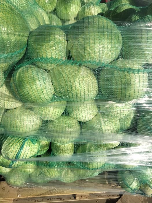 Продається капуста та картопля