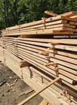 Tarcica modrzew deska tarasowa 32x150 3-5m dlugosc