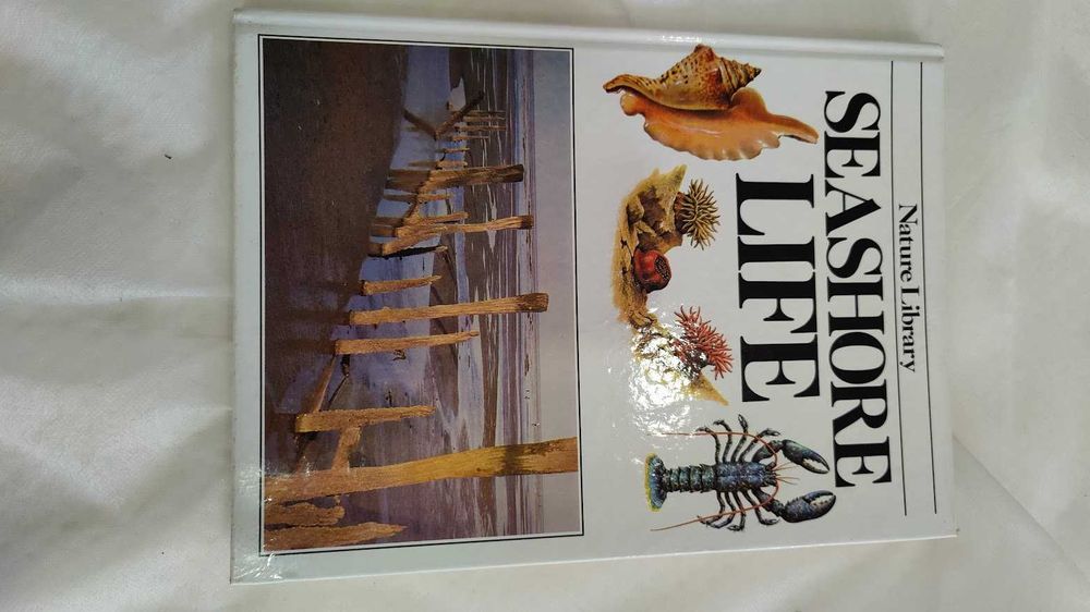 Mandingo e outras obras