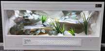 Terrarium tropikalne nr541 80/40/40 dla węża boa pyton NA ZAMÓWIENIE