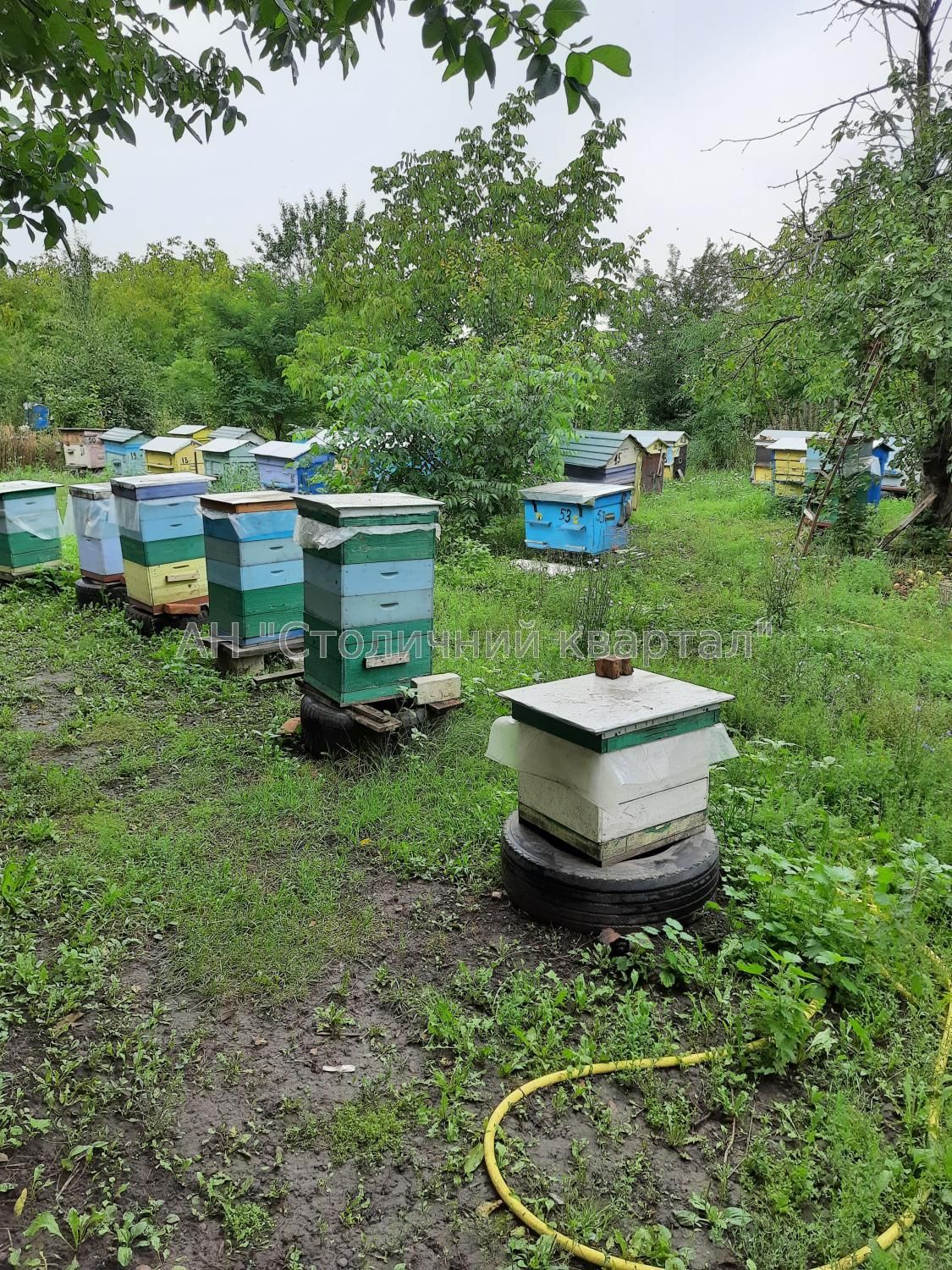 Без комісії будинок домогосподарство Пугачівка Жашків Уманський район