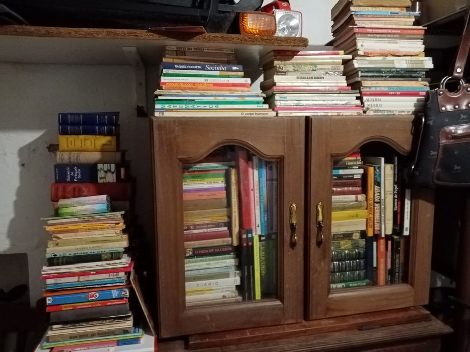 Vendo ou troco livros