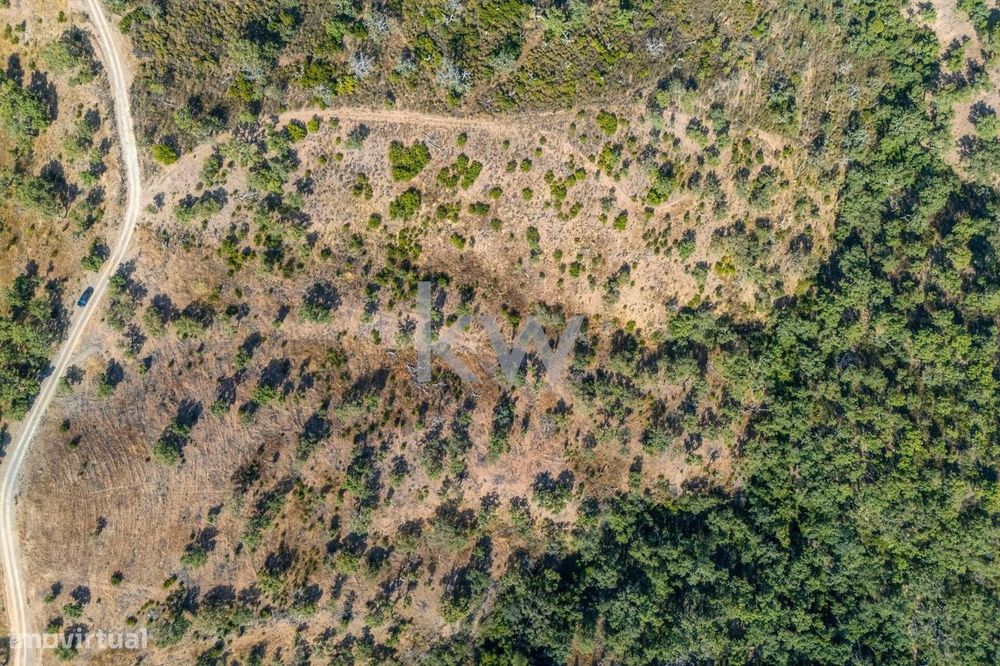 Terreno com 4750 m2 em Cepo, Querença, produção cortiça e medronhos