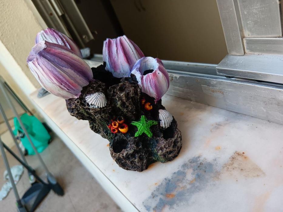 Decoração para aquario