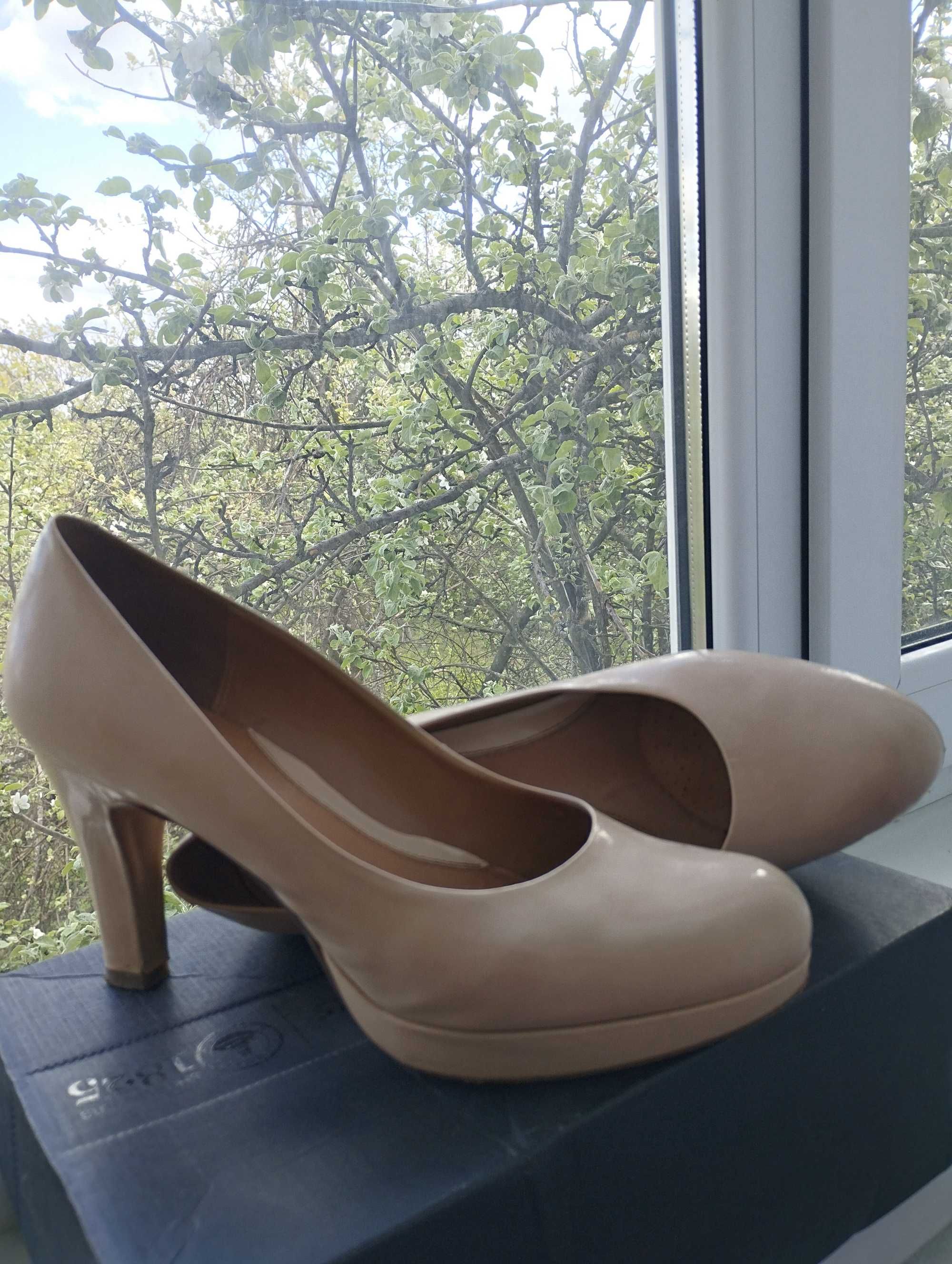 Жіночі шкіряні туфлі Clarks