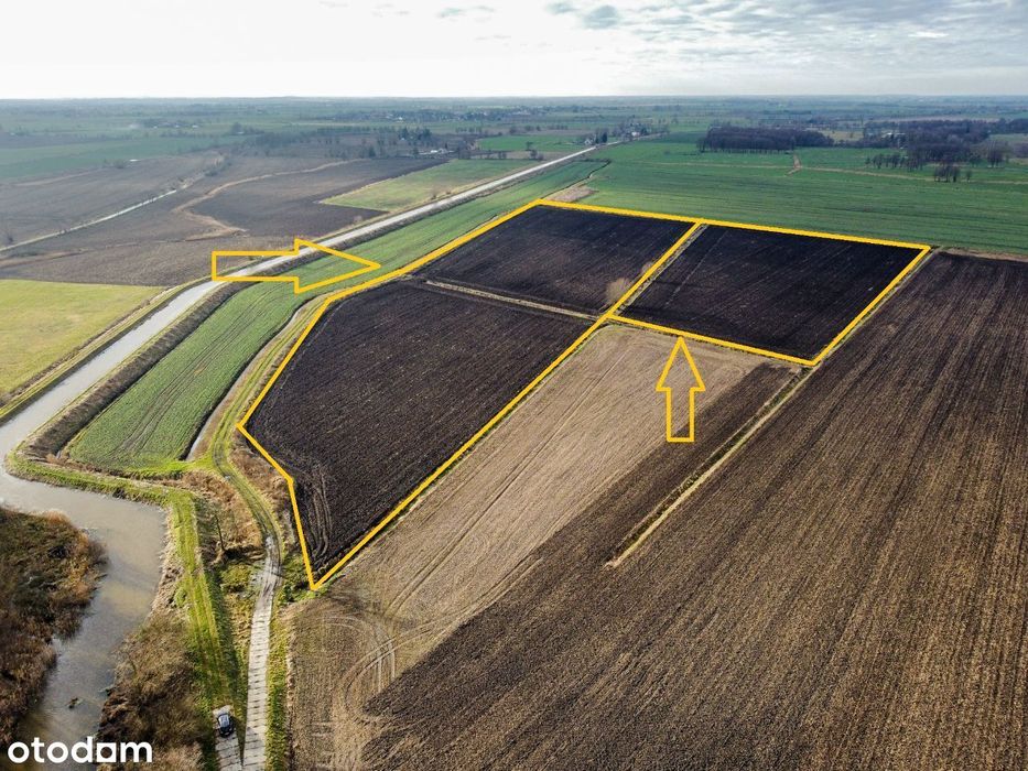 GRUNTY o łącznej powierzchni 11,65ha ok. Elbląga!