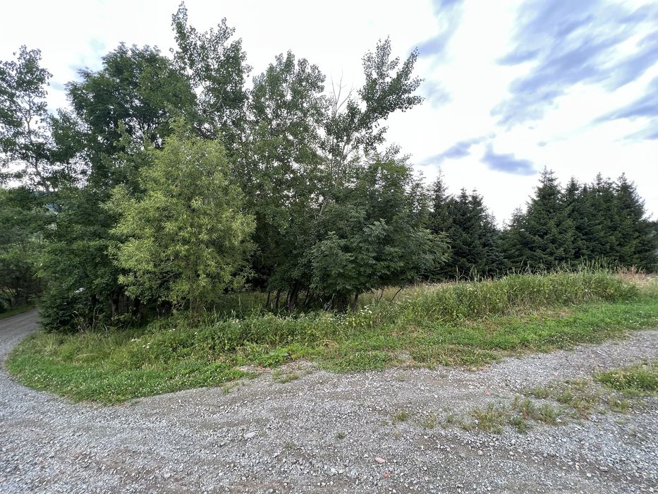 Piękna Działka Ludwikowice Kłodzkie Kol. Kasprowicza