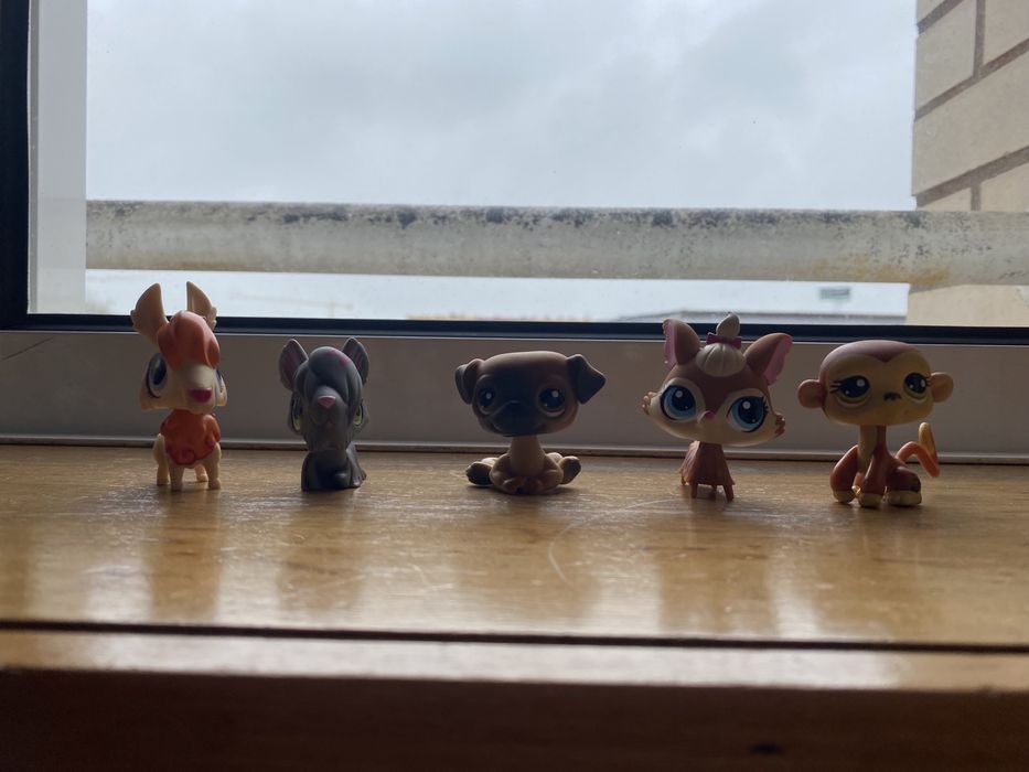 Little Pet Shop e gatos e minions