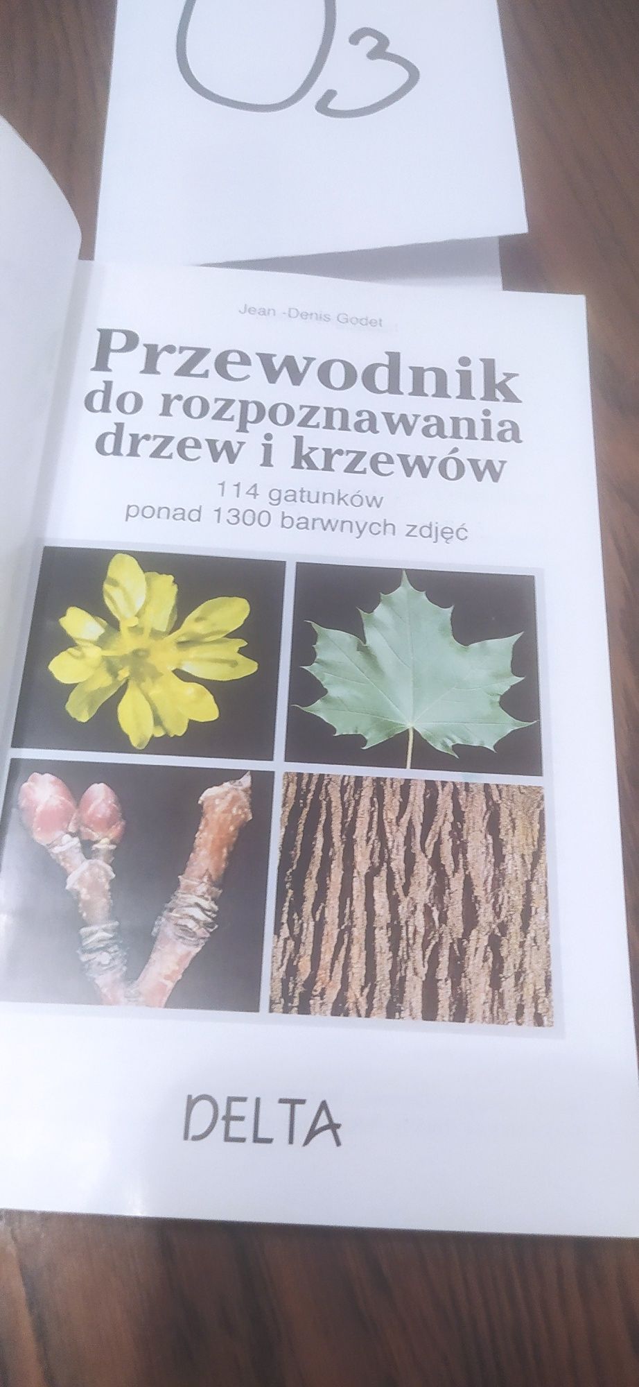 Przewodnik do rozpoznywania drzew i krzewów Jean-Denis Godet