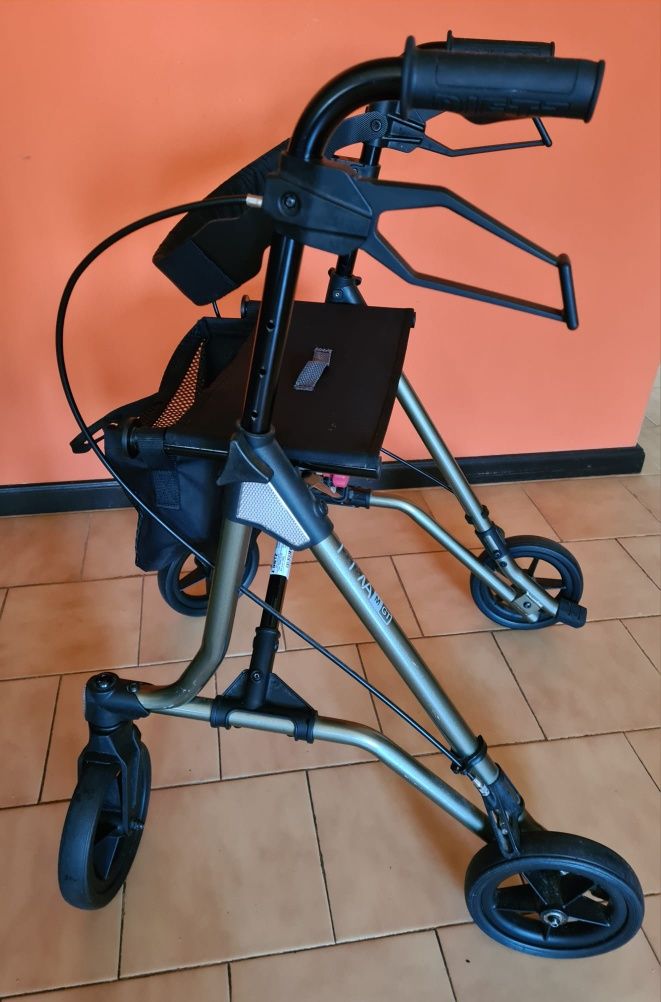 Andarilho Taima M GT usado

andarilho  Taim