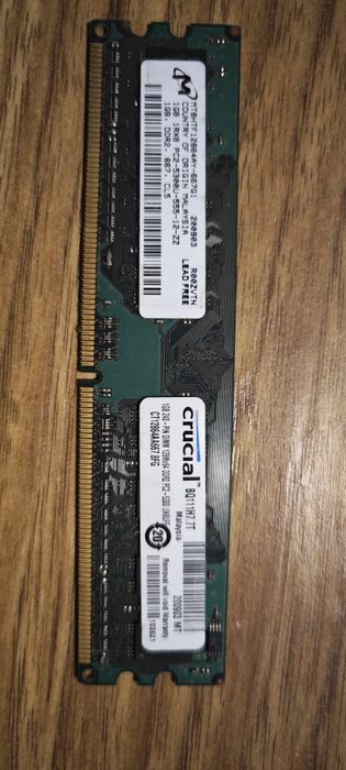 1 GB RAM Crucial DDR2 CL5