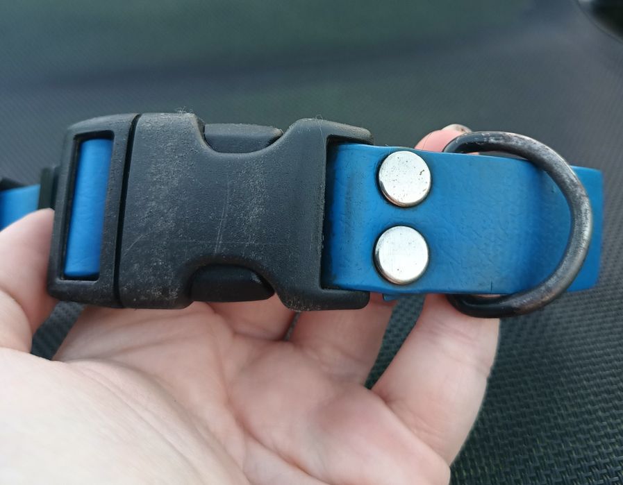 Wodoodporna, niebieska obroża z czarną klamrą zatrzaskową Hauka.dog