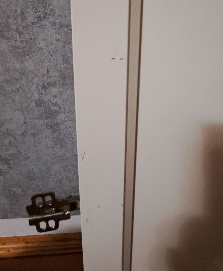 Drzwi billy oxberg 40*97cm