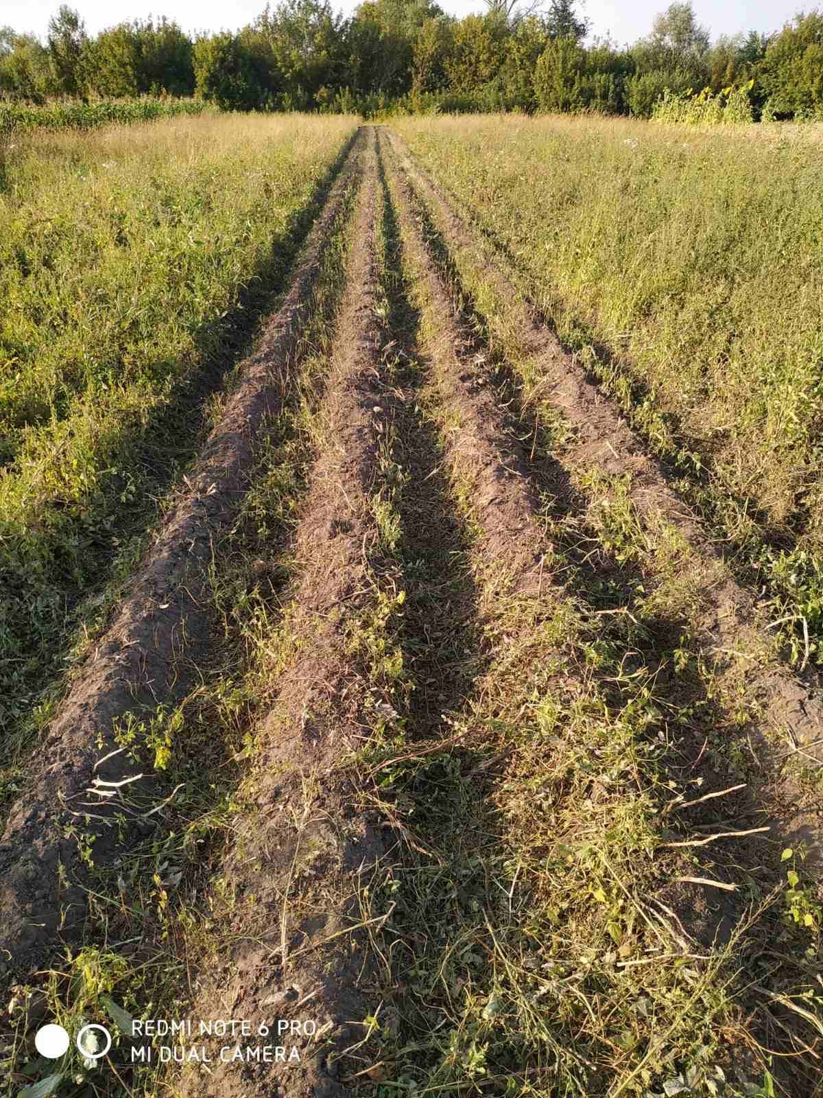 Продам мульчер для ботви, косарку.